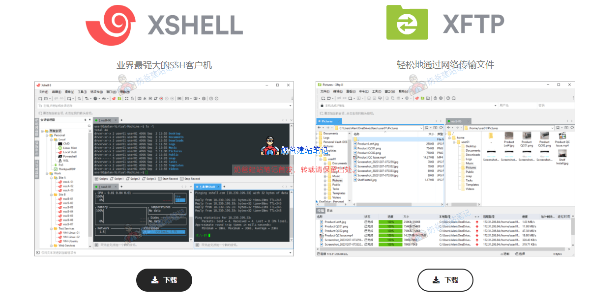 NetSarang 官方免费版下载页面