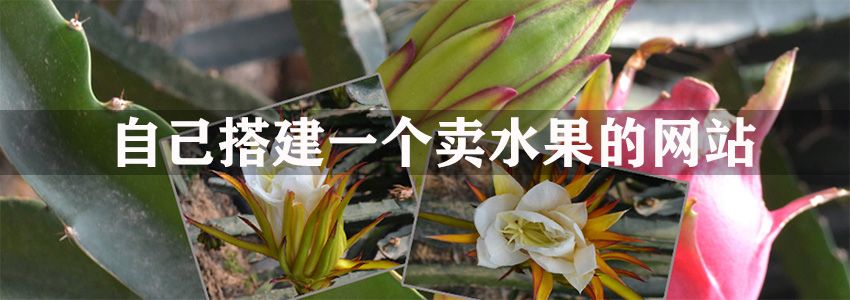 如何自己建一个卖水果的网站