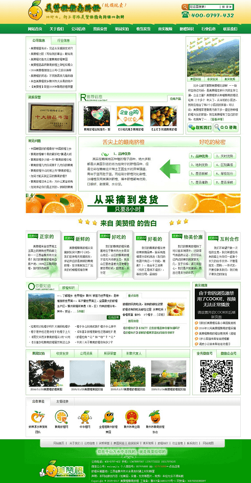 脐橙网站截图
