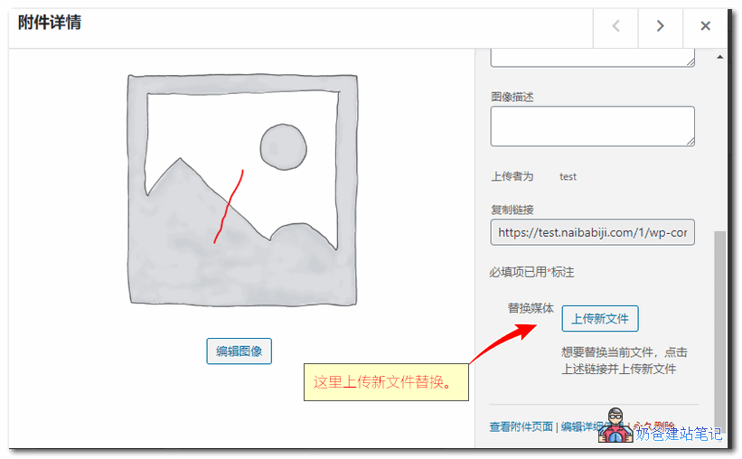 wordpress文章图片替换