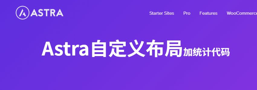 Astra自定义布局添加统计代码