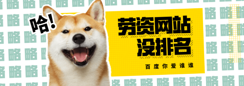 网站有收录了为什么还没有排名_别人搜不到?