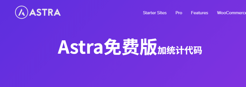 Astra免费版添加统计代码