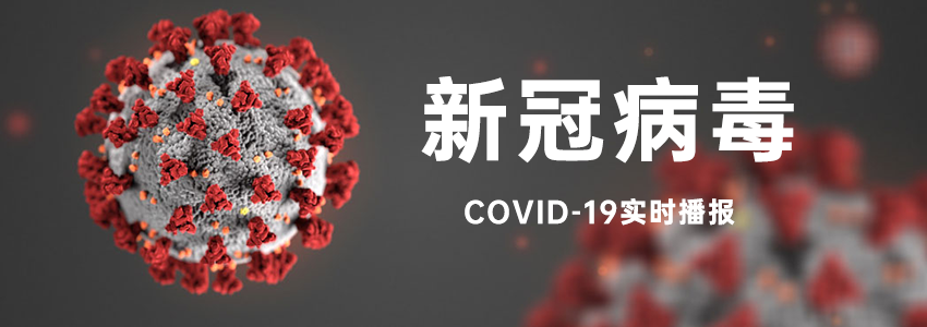 给网站添加冠状病毒病（COVID-19）实时播报数据