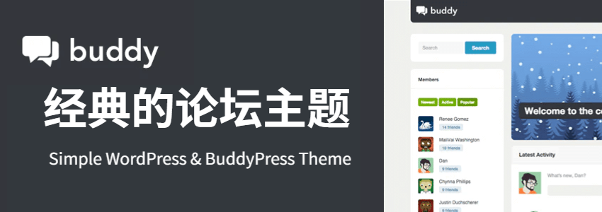 wordpress论坛主题