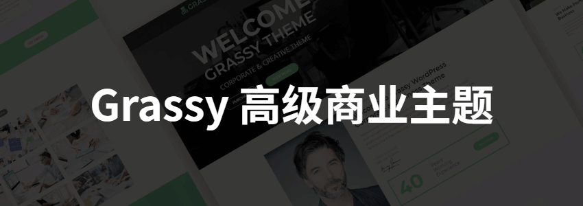 Grassy高级商业主题免费下载，适用于金融/咨询等行业