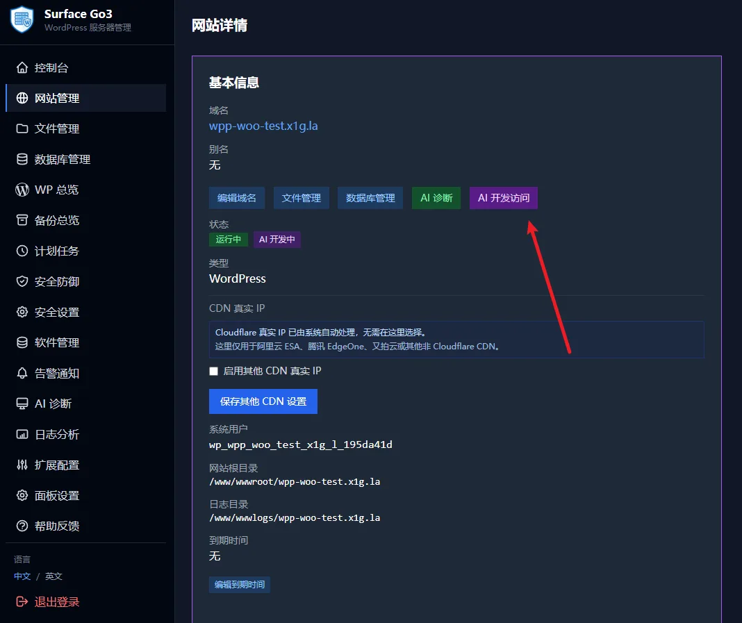WP Panel AI开发访问授权