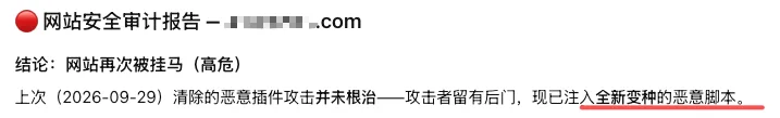 网站安全审计报告